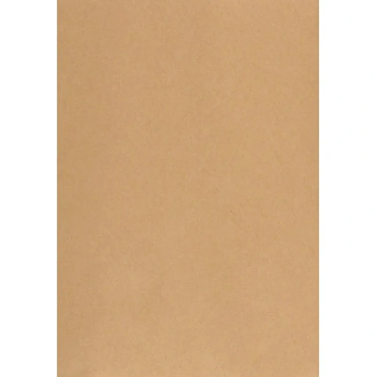 Пакет в упаковке Крафт С4стрип Multipack 229х324 100г 50шт/уп/5702