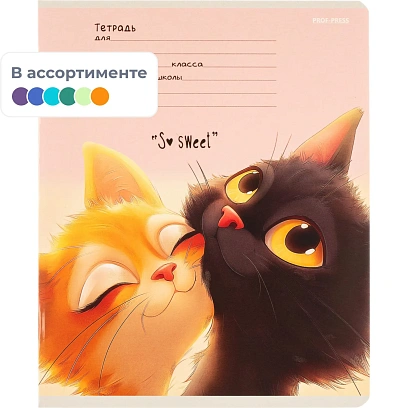 Тетрадь ДОП.КОСАЯ ЛИНИЯ 12л.КОШАЧЬИ МОРДОЧКИ-4 цвет.мел.обл.ассорти 12-4466
