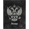 Дневник тв обл 5-11кл, глянц/лам, 48л, Calligrata Герб 4698423