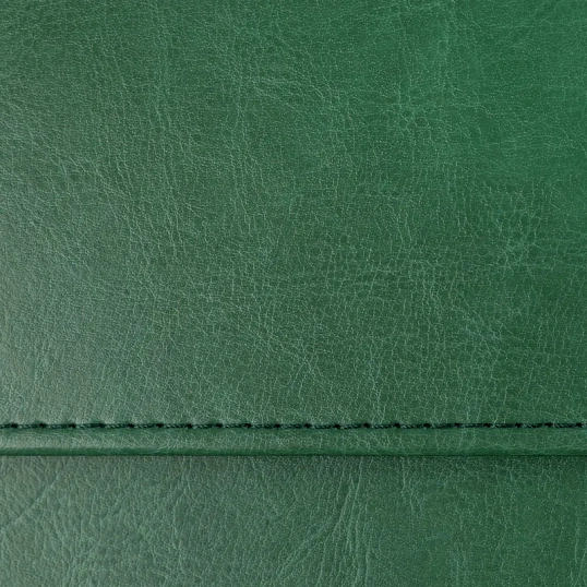 Планинг датированный 2026, зеленый,  303х150 мм, 120стр, Agenda