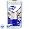 Салфетки хозяйственные Luscan спанлейс 45г/м2, 25х30см, 100л/рул