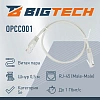 Патч-корд BigTech OPCC001 UTP CCA кат.5e/0.5м/литой/многожильн(серый)
