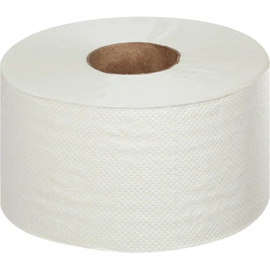 Бумага туалетная д/дисп Luscan Professional 1сл бел цел втул 200м 12рул/уп