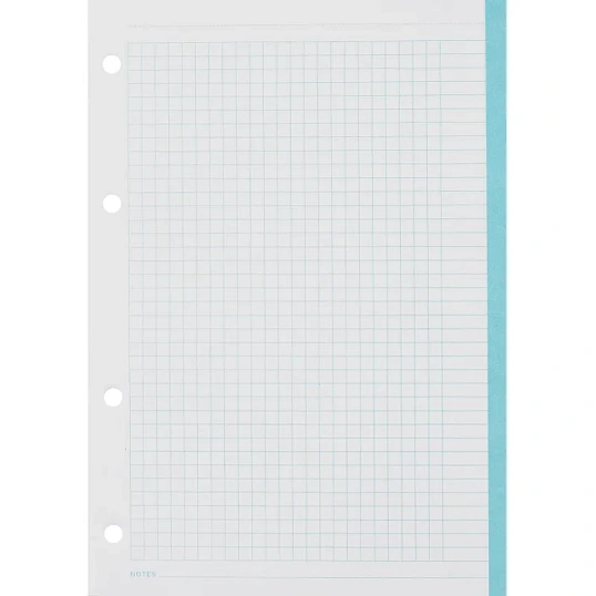 Сменный блок для тетрадей на кольцах, BeSmart А5 120л клетка Цветной N001d