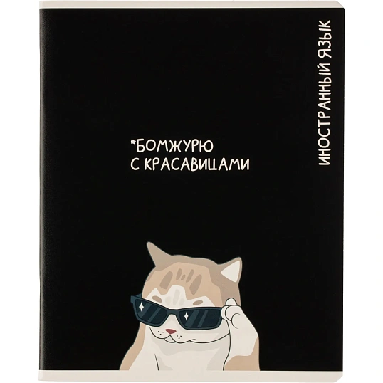 Тетрадь предметная КОТЫ МЕМЫ, набор12 шт.48л,А5+, клетка/линия/71449