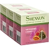 Чай Shennun зеленый с манго 60 пирамидок по 2г (3 упаковки по 20шт)