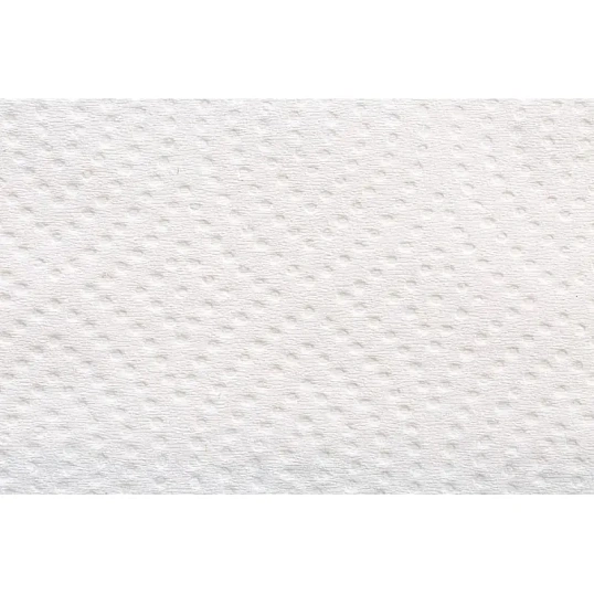 Полотенца бумажные д/дисп. FOCUS Eco Vсл 1сл бел 200л 15пач/уп 5083743 п/э