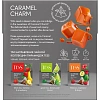 Чай Tess Caramel charm черный с добавками, 1,8гх20пир 0883-12