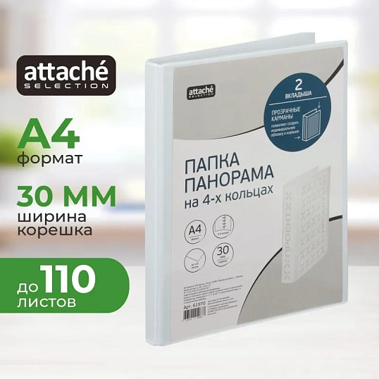 Папка Панорама на 4-х кольцах  30мм Россия