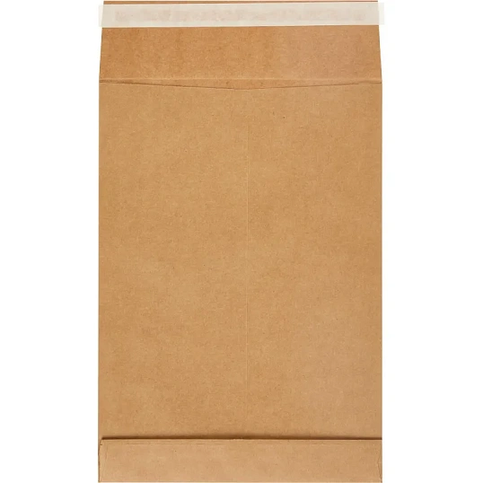 Пакет крафт B4 стрип Extrapack250х353х40 120г 25шт/уп/6569