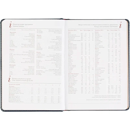 Ежедневник датированный 2026 А5+ SIDNEY NEBRASKA синий, зол обрез 3-125/04