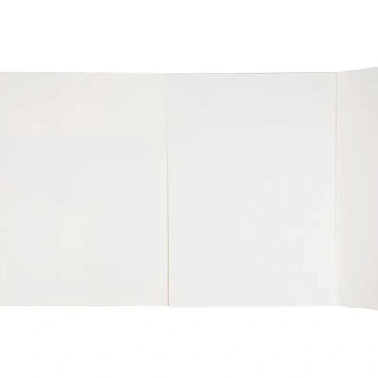 Папка для акварели в листах Kroyter А3 200г блок 20л/уп Проф 65970