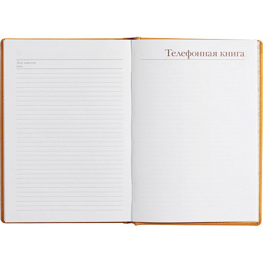 Ежедневник недатированный А5+, 136л, VELVET оранжевый  3-115/06