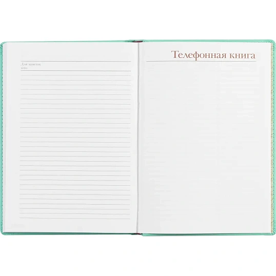 Ежедневник недатированный А5+, 136л, VELVET ментоловый  3-115/33