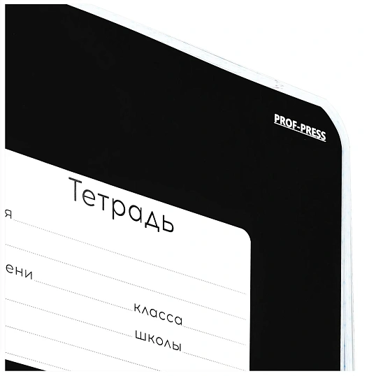 Тетрадь КЛЕТКА 24л. КЛАССИКА (ЧЁРНАЯ) цвет.мелов.обл 24-9155