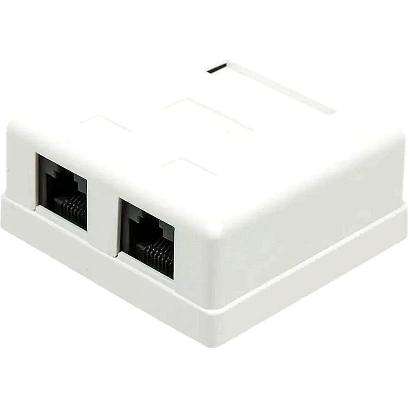 Розетка настенная TWT TWT-SM2-4545-WH 2 порта RJ-45 кат. 5е, UTP, белая