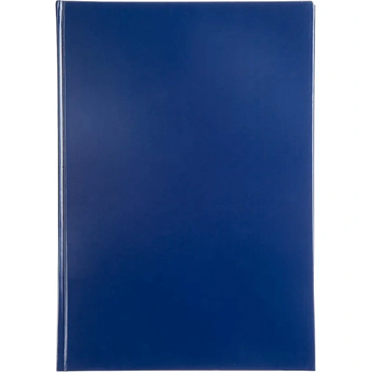 Книга учета -160л. в клетку офсет, обл. бумвинил