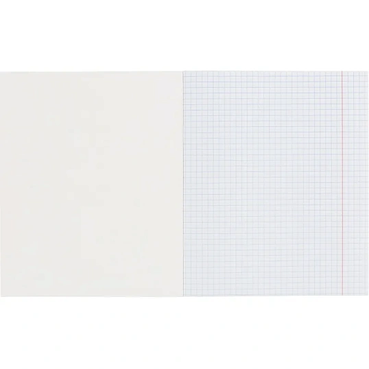 Тетрадь общая А5 48л №1School Friendly cats,клет,скреп, ВД-лак