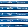 Набор кистей Гамма Синтетика 5 шт кр№ 1,3,5 пл № 5,8, 280618.09.06