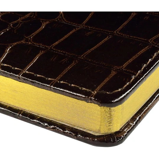 Ежедневник недатированный А6+ Caiman (коричневый)3-498 Д