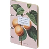 Тетрадь общая, BS, А5, 120л., клетка, кольца, Flora, персики N4236