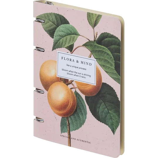 Тетрадь общая, BS, А5, 120л., клетка, кольца, Flora, персики N4236