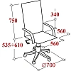 Кресло BN_Dp_EChair-585 TR рецикл.кожа черный, хром