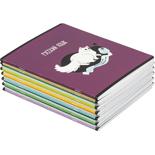 Тетрадь предметная набор Комус Класс  Котики 12 шт., 48., А5