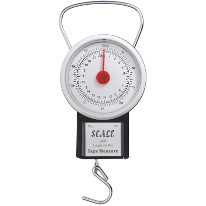 Весы -безмен механические, до 22 кг, цена деления 250 г, чёрные