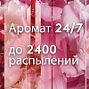 Баллон сменный для автоосвежителя Glade пион и сочные ягоды 269мл