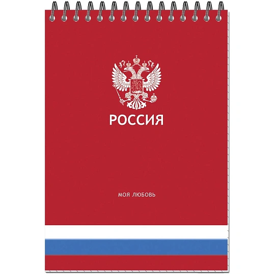 Блокнот А5 Россия 50л УФ лак клетка, спираль 2 дизайна, ассорти, 3344