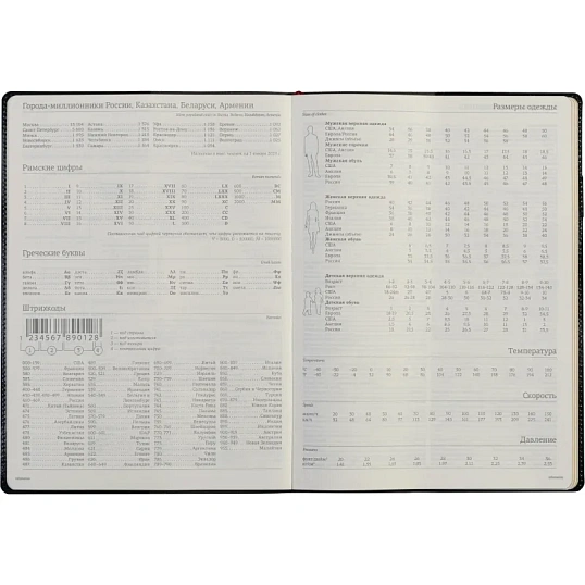 Еженедельник недатированный синий,A4,222х302мм,128 стр.,Br.V.PROFY 3-098/01