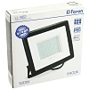 Прожектор светодиодный FERON LL-922 100W 6400К 230В IP65 (32103)