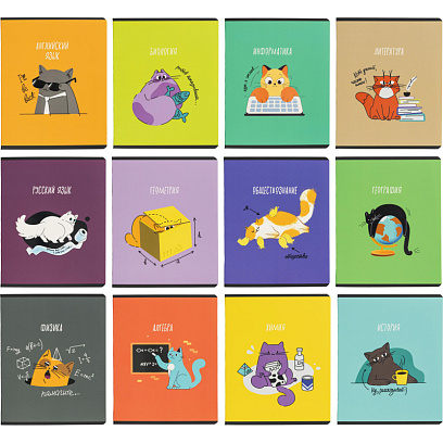 Тетрадь предметная набор Комус Класс  Котики 12 шт., 48., А5