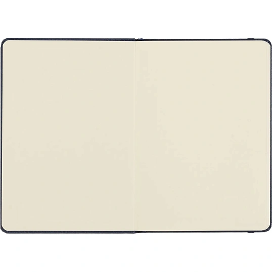 Бизнес-блокнот Attache А5 (148x218 мм), Эссэ,балакр,80л.,резин,клетка,синий