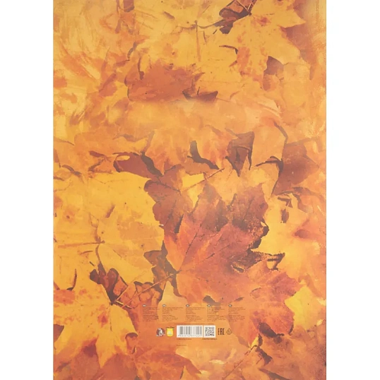 Папка для акварели Хлоя А2 420х594мм 200г/м2 5л П-7225