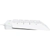 Клавиатура A4Tech Fstyler FK13P цифровой блок USB slim д/ноут (FK13P WHITE)