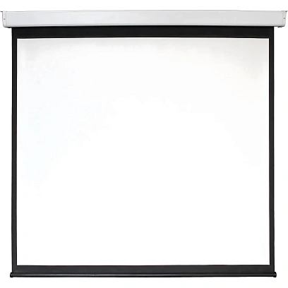 Экран Digis DSEF-1105 настенный мотор. 1:1, 180х180