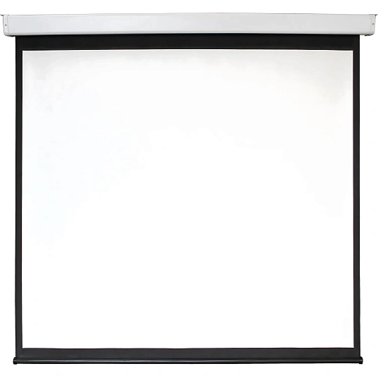 Экран Digis DSEF-1105 настенный мотор. 1:1, 180х180