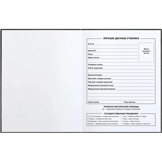 Дневник школьника КОМИКС интегральный переплёт, А5+, 48 л. 66823