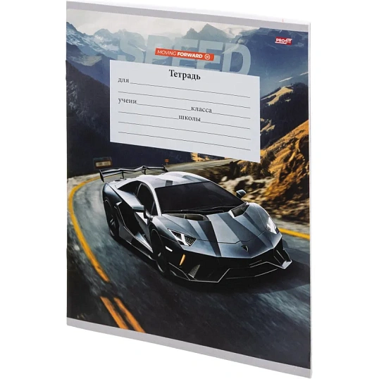 Тетрадь линия 12л. Авто и пэйзаж, ассорти, 2 (12-5571)