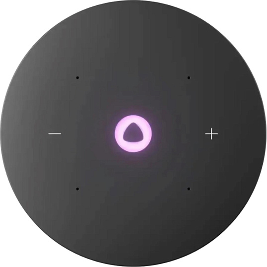 Умная колонка Яндекс Станция Мини 3 Про, Zigbee, чёрный (YNDX-00059BLK)