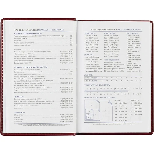 Ежедневник недатированный бордо, А6,100x150, 320стр, Agenda