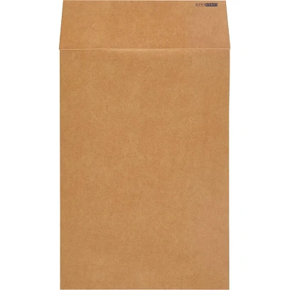 Пакет крафт B4 стрип Largepack250х353х40 120г 200шт/уп/6306