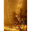 Гирлянда светодиодная 4ветки,100LEDламп,2м,1реж,тепл бел,IP20,93394