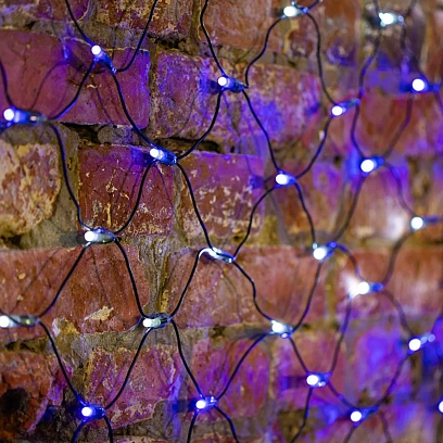 Гирлянда светодиодная Сеть 432 LED 2,5х2,5м, черный ПВХ,Белые/Синие 215-032
