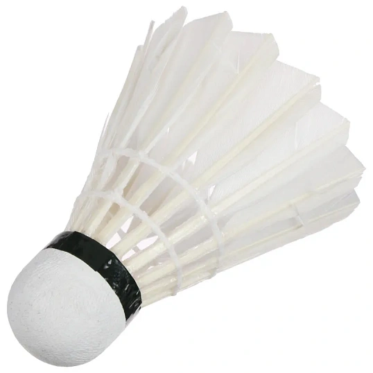 Набор  воланов для бадминтона, перо, в тубе,12 шт 1684538