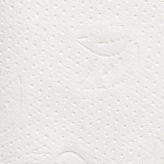 Бумага туалетная д/дисп Protissue 2сл 250лист 40 пачек в уп С249