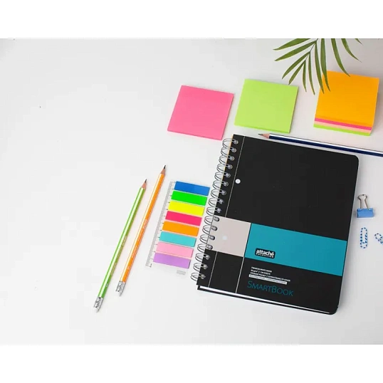 Бизнес-тетрадь SMARTBOOK А5 120л. клетка,спир,микроп,разд,карм,сер-бирюз