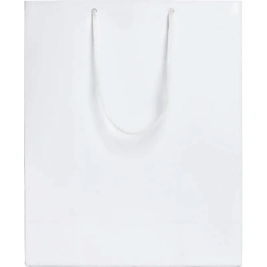 Пакет подарочный Ample M, 23х28х9см, белый, 7440.60